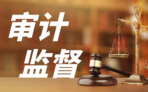 某省成立地方金融審計局和國有企業(yè)審計局 加強穿透式審計監(jiān)督