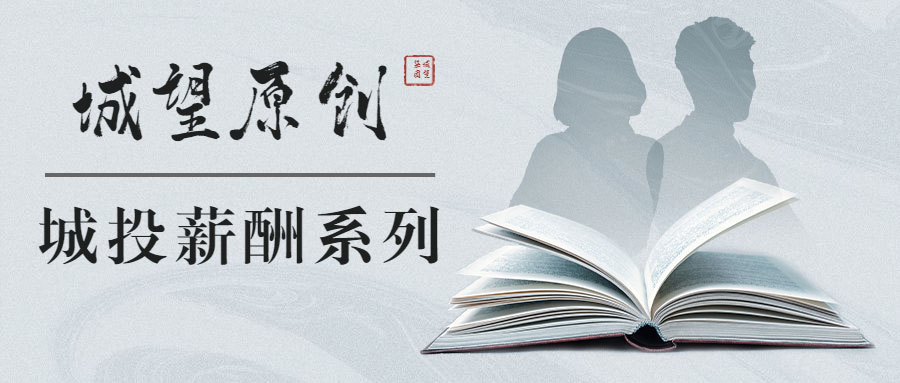 原創(chuàng)丨【城投薪酬系列】專題六：特殊人才協(xié)議工資制薪酬設(shè)計(jì)思路